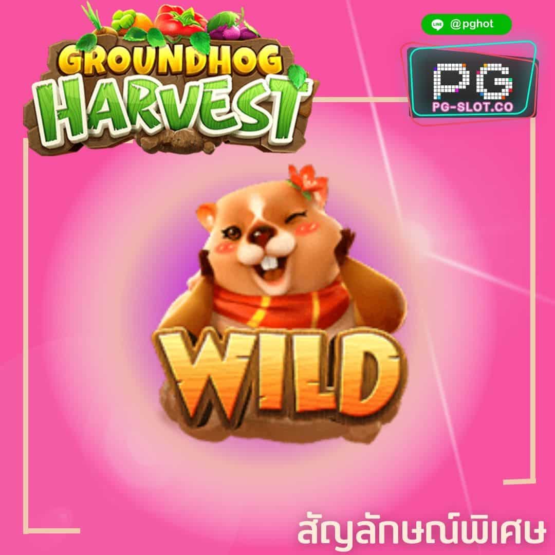 ทดลองเล่นสล็อต Groundhog Harvest wild girl
