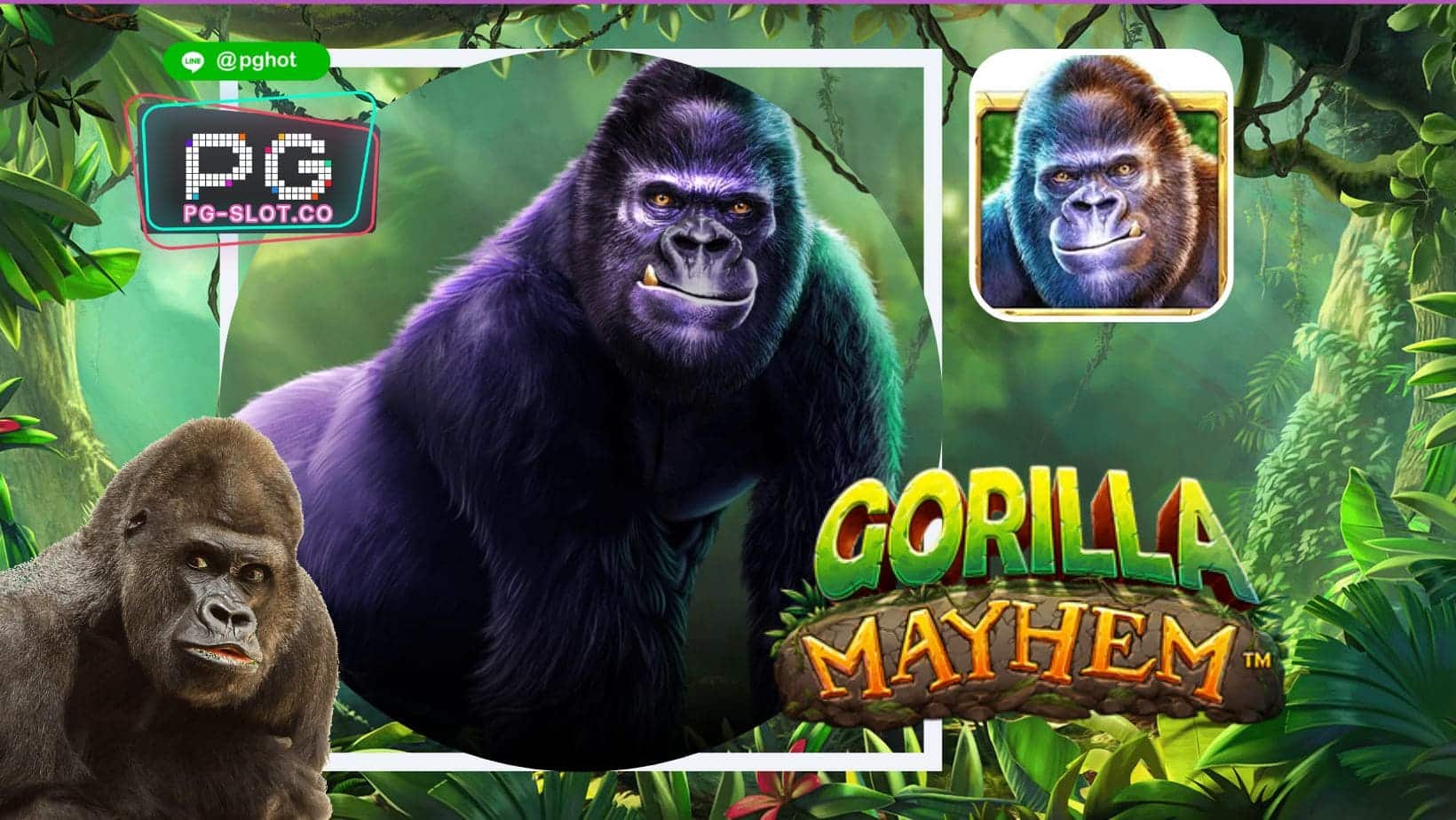 ทดลองเล่นสล็อต Gorilla Mayhem